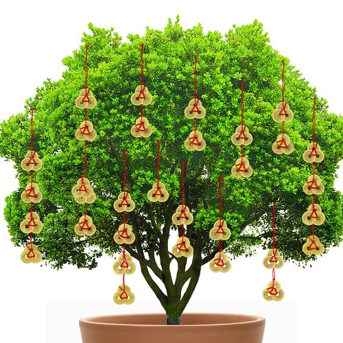 JUNEBRUSHS 16Pcs Chinese Fortune Feng Shui Coins New Year Lucky Coins Charms Hanging Pendant Decorations for New Year Home Health Wealth Success Lucky Decor(4 Style)