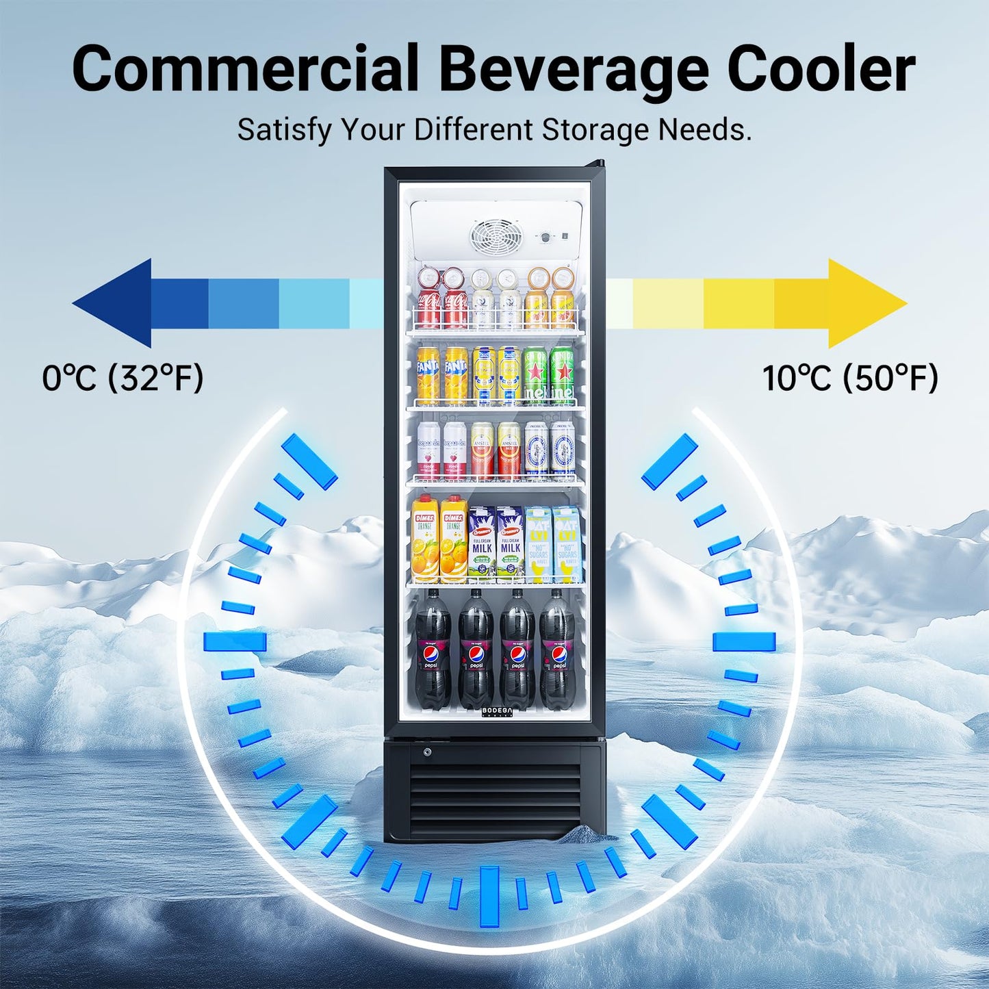 BODEGACOOLER Commercial Beverage Refrigerator and Cooler, 11.5 Cu.Ft Commercial Refrigerators Glass Door Fridge for Bar, drink, Commercial Merchandiser Refrigerator with 312 cans & 192 bottles.