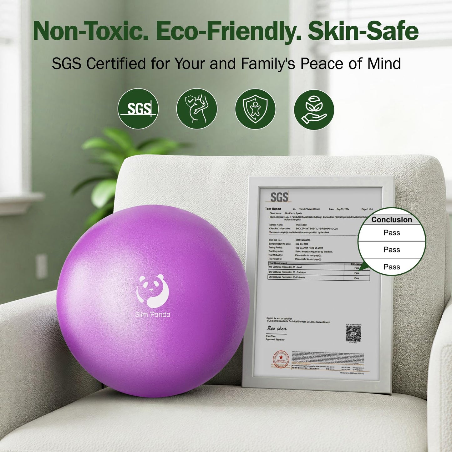 Slim Panda Pilates Ball, 9 Inch Small Exercise Ball, Anti Burst Mini Yoga Ball for Stability, Workout, Barre, Core Strength, Physical Therapy, Balance, Stretching
