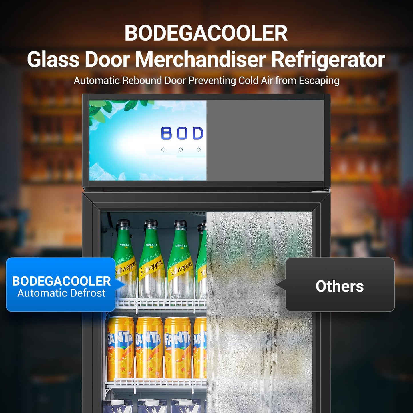 BODEGA BODEGACOOLER 15.5 Cu. Ft Commercial Beverage Refrigerator, Glass Door Upright Display Cooler, 420 Cans Drink Fridge with LED Light, 5 Adjustable Shelves, Lock, Black