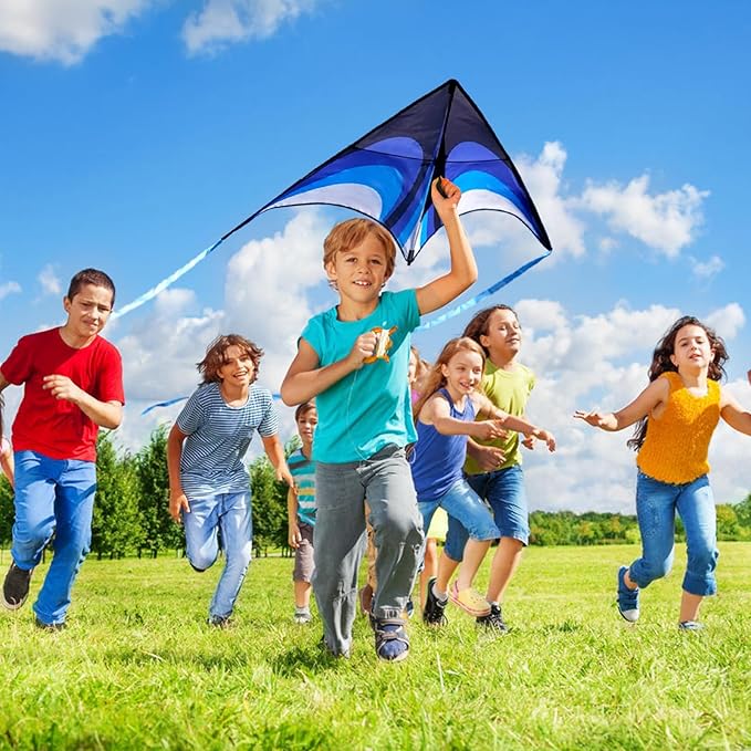 Blue Delta Kite Easy to Fly,Beach Trip Outdoor Games Single Line String with Tail,Easy Flying Colorful Life 3D Delta Huge Kite for Kid and Adult