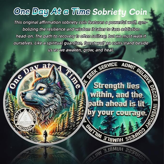 One Day at a Time 6 Month Sobriety Coin - Recovery Aurora Forest Wolf AA Coins - Addiction NA AA Chips and Medallions - Celebrate 1-30 Living Clean Narcotics Alcoholics Anonymous Gifts for Men Women