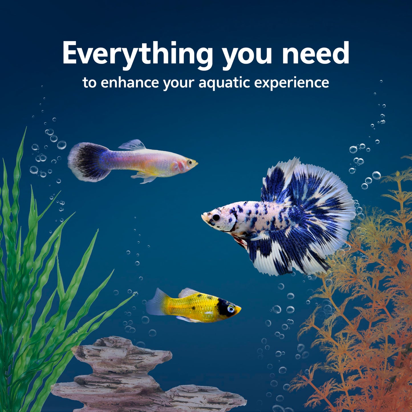 Aqueon Aquarium Starter Kit with Smart Clean Filtration and LED Lighting, Freshwater and Saltwater Fish, 20-Gallon