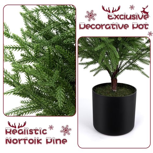 ENVEN 2FT Artificial Norfolk Pine Christmas Tree – Tabletop Faux Tree Unlit/Prelit with 50 LED Lights & 8-Function Battery Box, Pre-Assembled Holiday Decor for Home or Office (Prelit-2FT-1Pack)