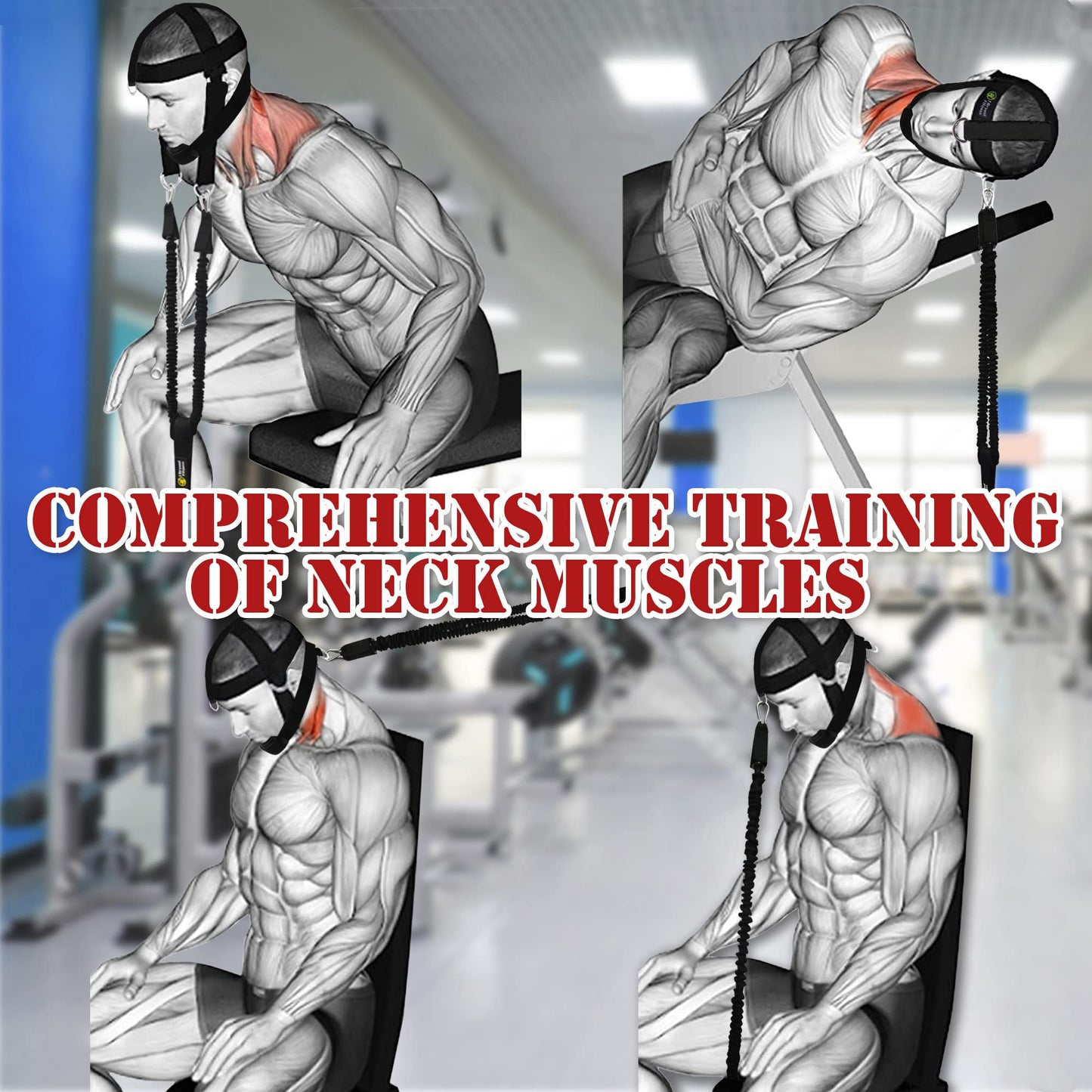 J Bryant Neck Harness Head - Weight Lifting with Resistance Tube Bands - Door Anchor Set Adjustable Neck Training Strap Exercise Equipment (L)