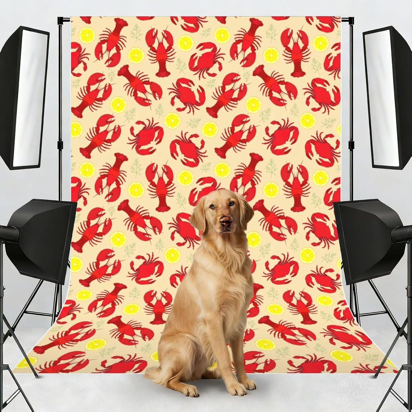 YQxwJL Lobster and Crab Print Studio Backdrop, Large Photo Backdrop for Professional Photography Studio and Events(No