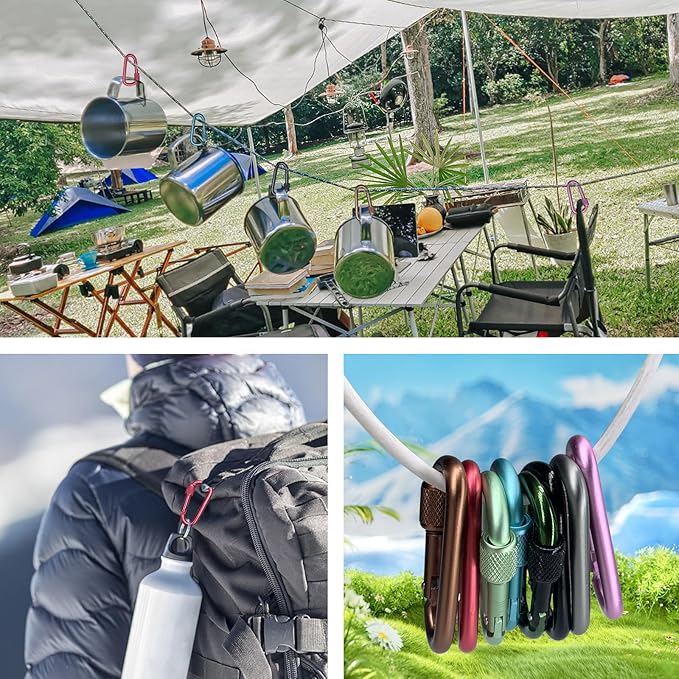 Carabiner, 2 inch D-Ring Locking Carabiner Clip, Snap Hook Sport Accessories for Outdoor Camping Hiking