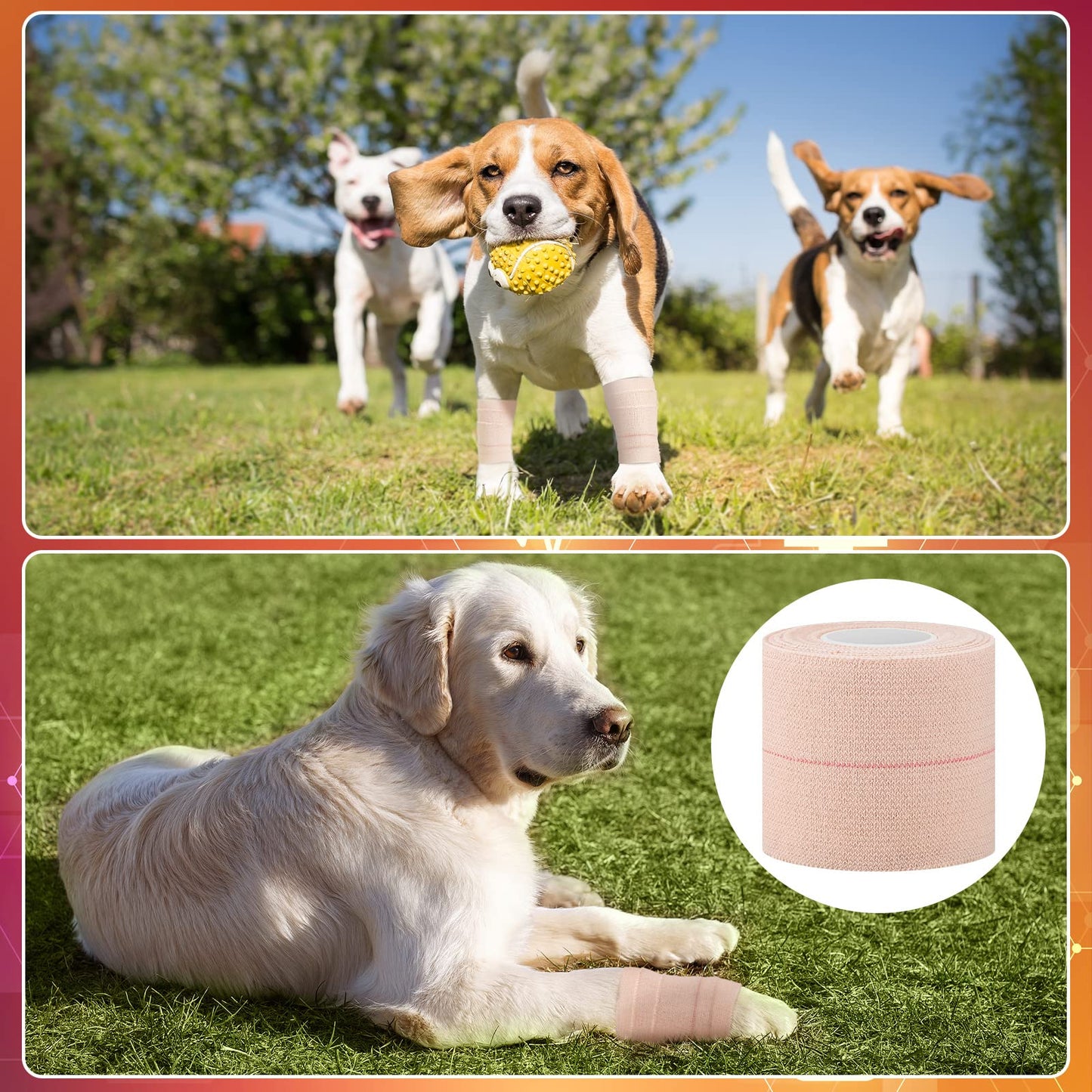 Nuanchu 16 Rolls Self Adhesive Elastic Bandage Wrap Breathable Flexible Stretch Sports Tape for Wrist Ankle Support, Cohesive Vet Wrap for Horse Pet(2 Inch x 5 Yard)