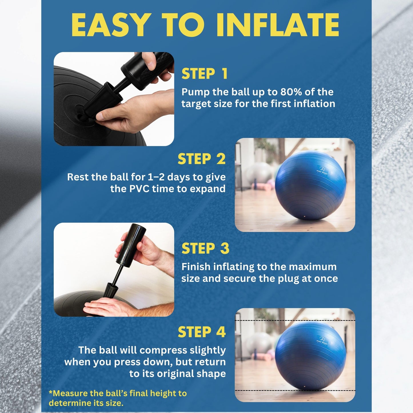 ProBody Pilates Exercise Ball - Multiple Sizes Gym Grade Balance Ball for Fitness, Workout, Pregnancy & Physical Therapy, Stability Yoga Ball Chair (Blue, 65cm)