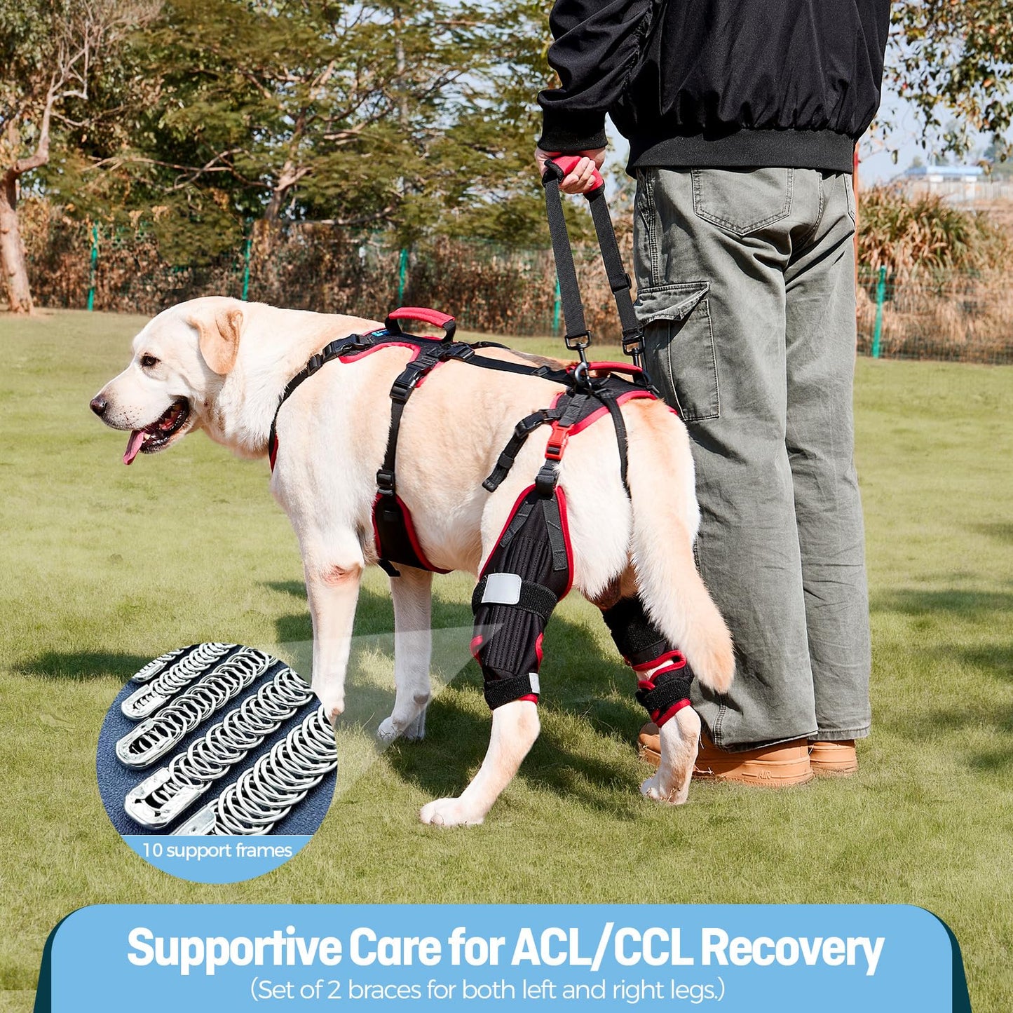 Lafoty Dog ACL CCL Knee Brace for Large Dogs, Set of 2 Hind Leg Braces with Handles & Shoulder Strap – Non-Slip Support for Injury, Arthritis & Post-Surgery Recovery, Black, Large