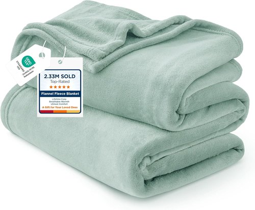 Bedsure GentleSoft Fleece Blanket - Sage Green Queen Size | 280GSM Soft, Lightweight & Cozy for Home or Travel
