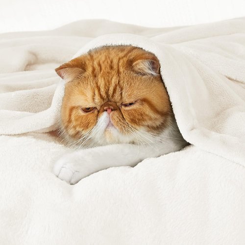 Bedsure GentleSoft Fleece Throw Blanket - XL Cream 300GSM Plush Cozy Design for Bed, Sofa, Travel | 50x70 Inches