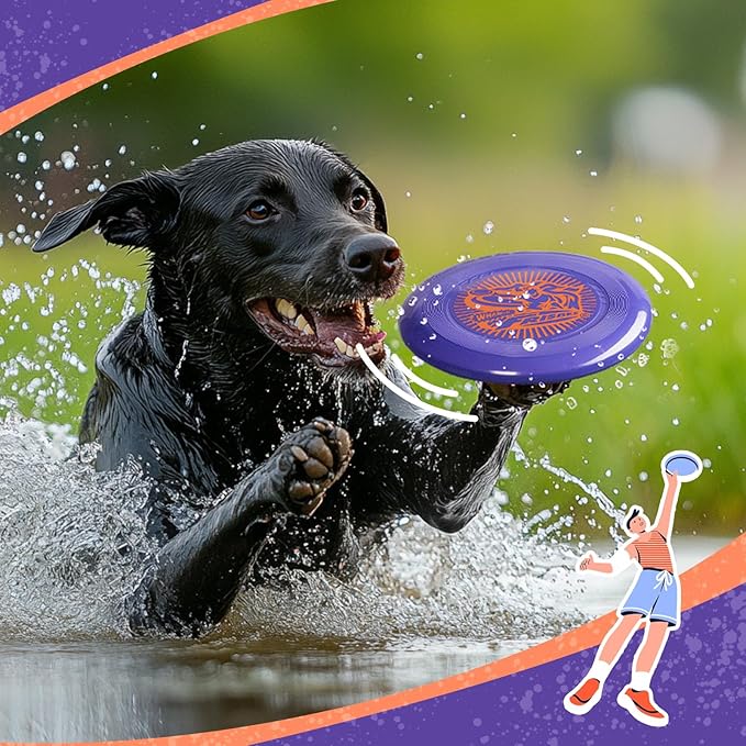 Wham-O Frisbee Go Flying Disc, 9 Inch Lightweight Sports Disc for Beginners Outdoor Beach Backyard Lawn Park Camping Family Activity Game - 70g