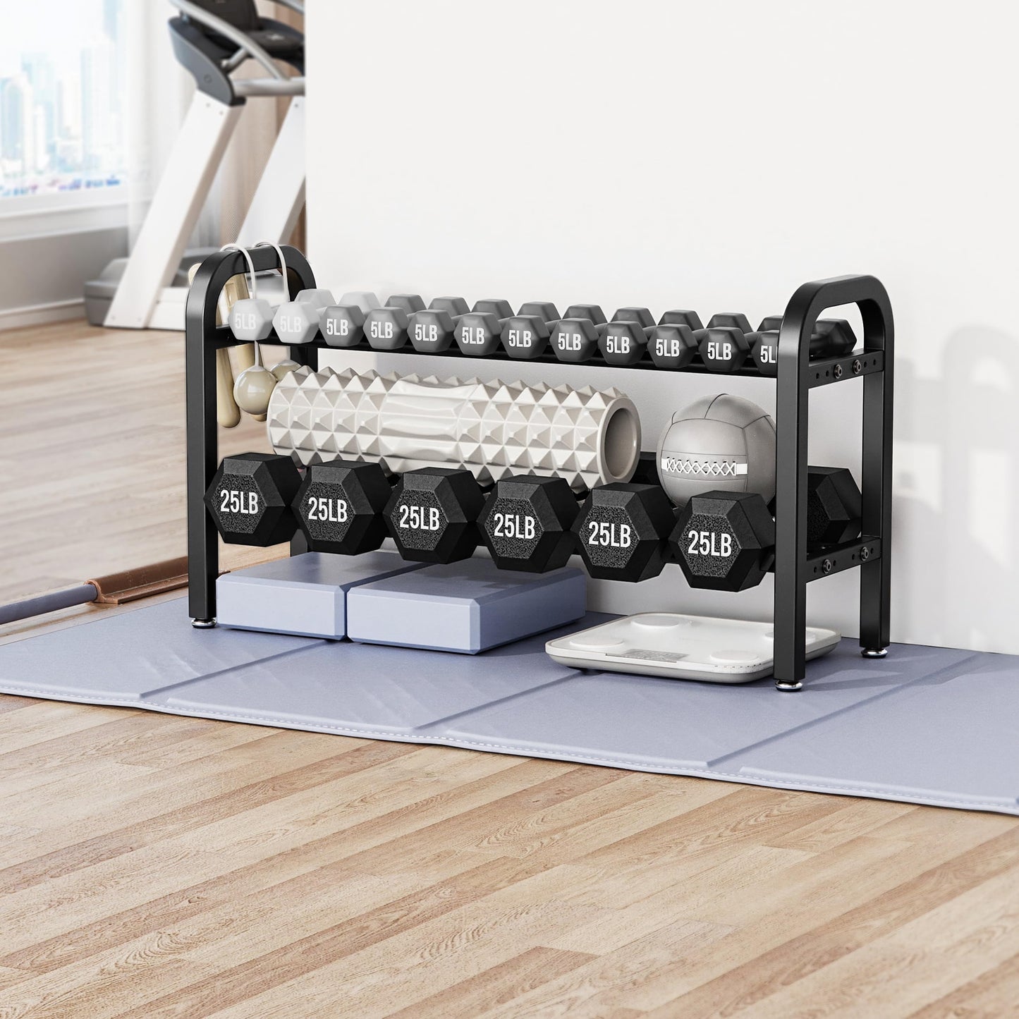 2 Tier Dumbbell Rack, Weight Rack for Home Gym, 300 lb Capacity