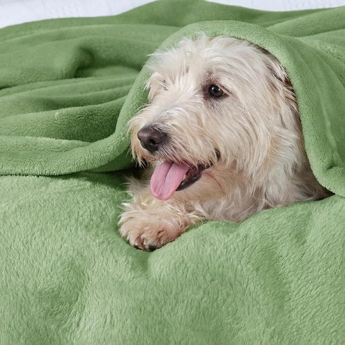 Bedsure GentleSoft Green Fleece Blanket - Cozy Lightweight Plush Queen Size, Emerald 90x90 Inches