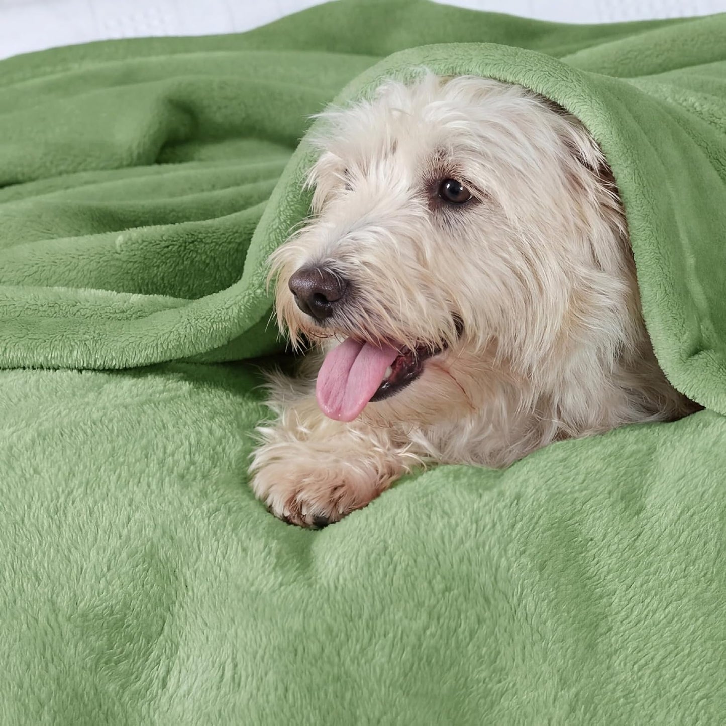 Bedsure GentleSoft Throw Blanket - Cozy 300GSM Fleece for Home Decor | Emerald Green, 50x60 Inches