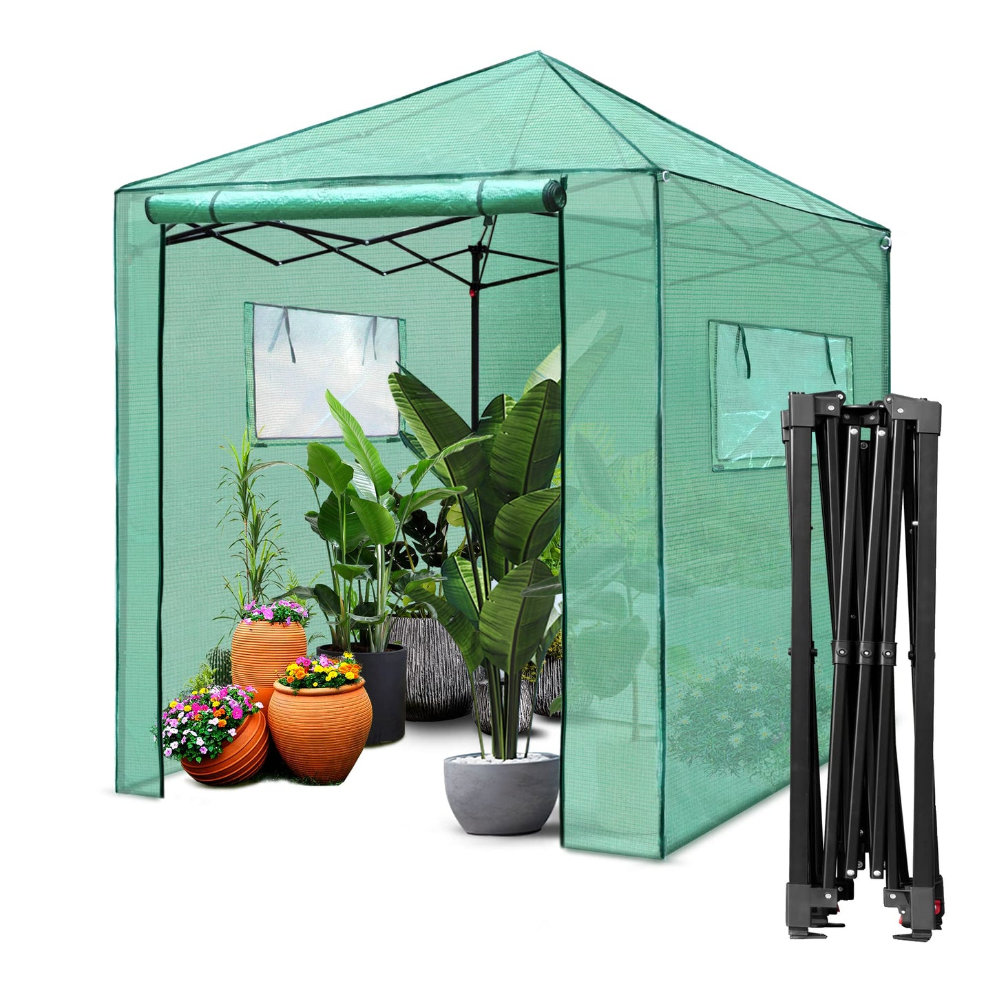 PexFix 6'x 5' Portable Walk-in Greenhouse, Easy Setup, Indoor/Outdoor, 2 Roll-Up Mesh Windows, Roll-Up Zipper Door, Green