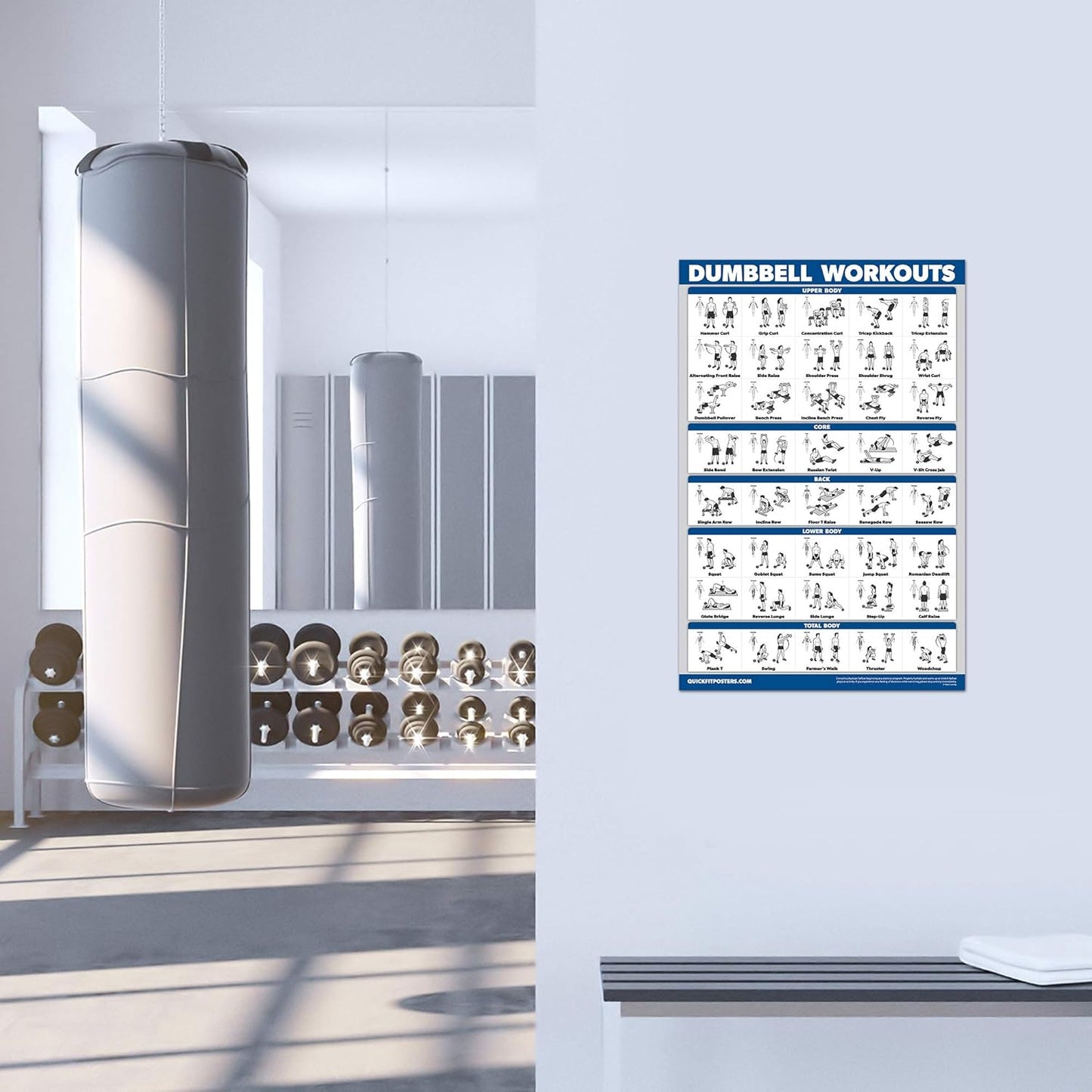 Palace Learning Dumbbell Workout Posters - Laminated Exercise Charts (18" x 24") | 3 Pack Volume 1, 2 & 3