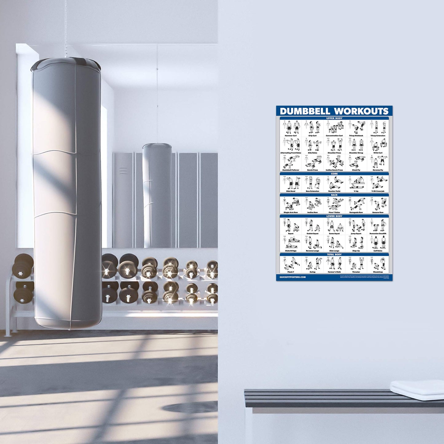 Palace Learning 3 Pack - Dumbbell Workout Posters for Home Gym - Volume 1, 2 & 3 - Exercise Charts (Laminated, 18" x 24")