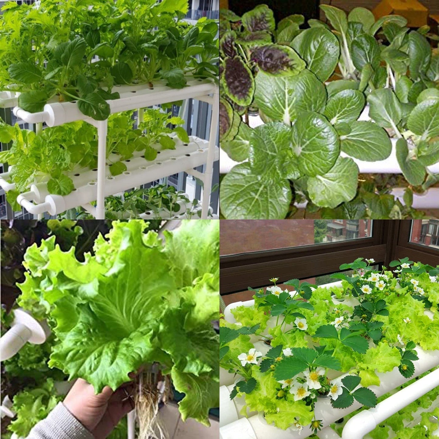 LAPOND Hydroponics Growing System Kit,108 Plant Sites 3 Layers Food-Grade PVC-U Pipes Hydroponic Grow Kit Gardening System with Water Pump, Timer,Net Pots and Sponge for Vegetables,Fruits,Herb