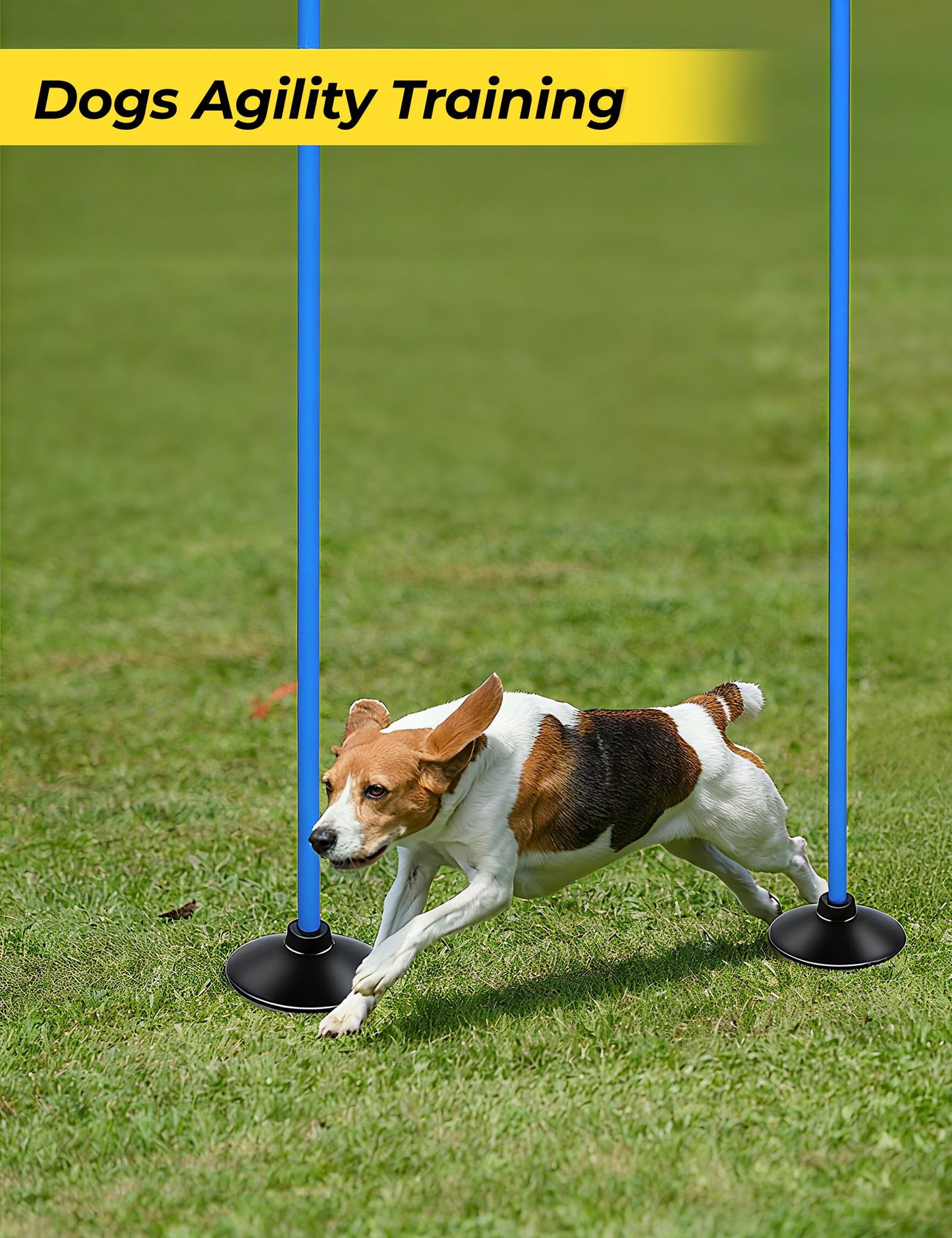 SEAOTTER Soccer Agility Poles Set, 10Pcs 6FT Adjustable Sports Trainning Speed Poles Slalom Poles with Rubber Base, Agility Training Equipment for Football, Rugby, Basketball, Indoor & Outdoor