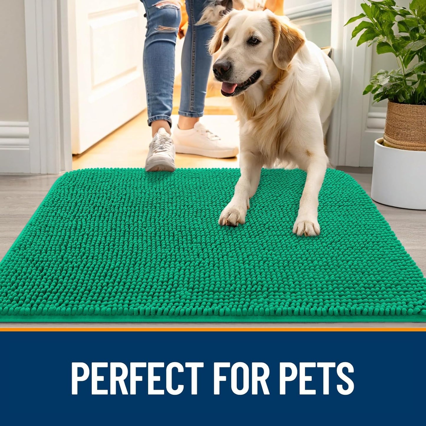 OLANLY Dog Door Mat - Absorbent Non-Slip Mud Mat for Indoor Use | Quick Dry Chenille, 24x16 Emerald Green