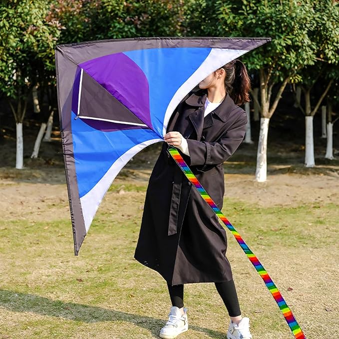 Mint's Colorful Life Kite Set for Kids and Adults, Easy to Fly Butterfly Delta Airplane Dragon Octopus Kite, Large Beach Kites Kits with 300ft String, Best for Gifts & Family Outings