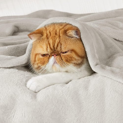 Bedsure Fleece Blanket - Soft, Lightweight Queen Size Plush Blanket for Bed, Sofa, Travel & Camping
