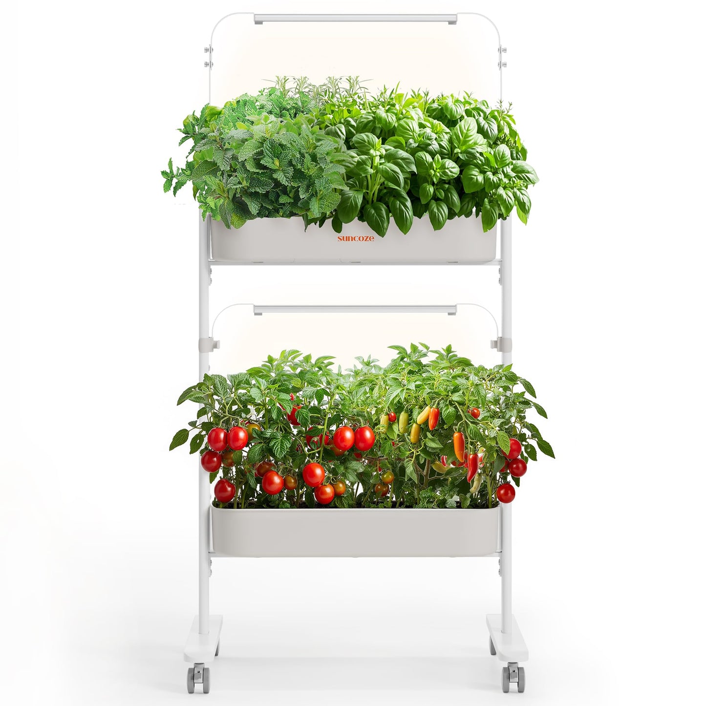 SUNCOZE 2-Tier Hydroponics Growing System Kit with 24 Pods – Full Spectrum Grow Lights, Hydroponic System equipped with smart controller, Indoor Herb Garden Kit for Vegetables, Herbs, Fruits & Flowers