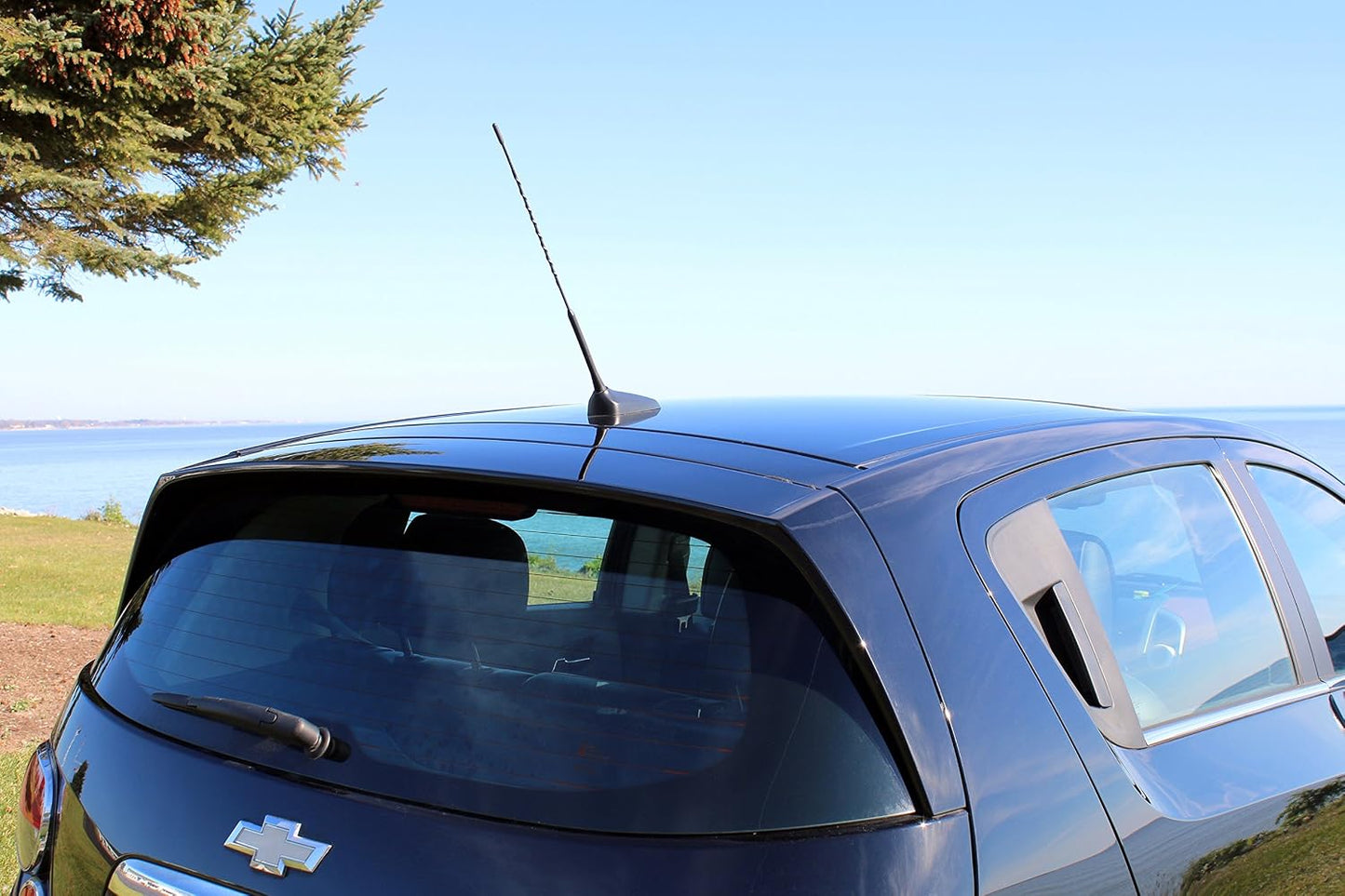 AntennaMastsRus 16 Inch (2005-2016) - Screw-On Antenna is Compatible with Scion tC