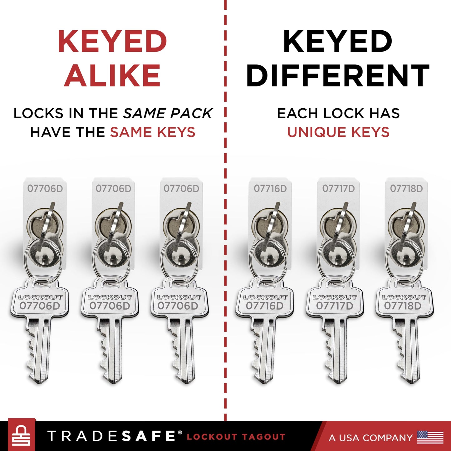 TRADESAFE Lockout Tagout Locks Set - 10 Silver Aluminum Loto Locks, Keyed Different Lock Out Tag Out Padlocks, 2 Keys Per Lockout Padlock, OSHA Compliant