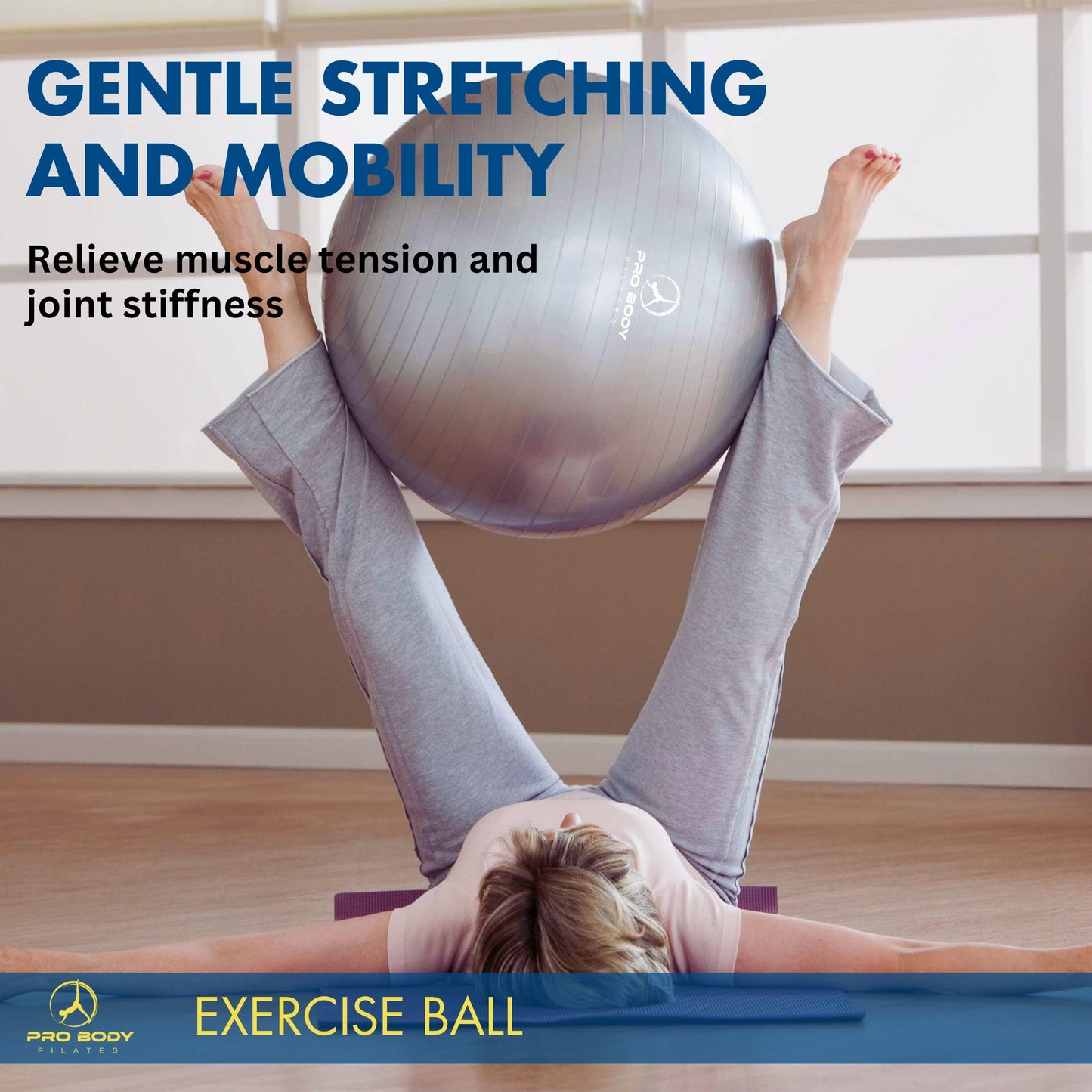 ProBody Pilates Exercise Ball - Multiple Sizes Gym Grade Balance Ball for Fitness, Workout, Pregnancy & Physical Therapy, Stability Yoga Ball Chair (Aqua, 45cm)