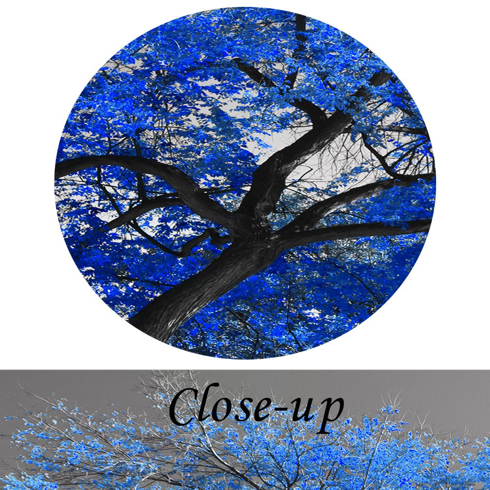 KREATIVE ARTS Canvas Prints Blue Tree Wall Art Painting Contemporary Black and White Fall Landscape Pictures Modern Giclee Stretched and Framed Artwork for Walls 20x40inch