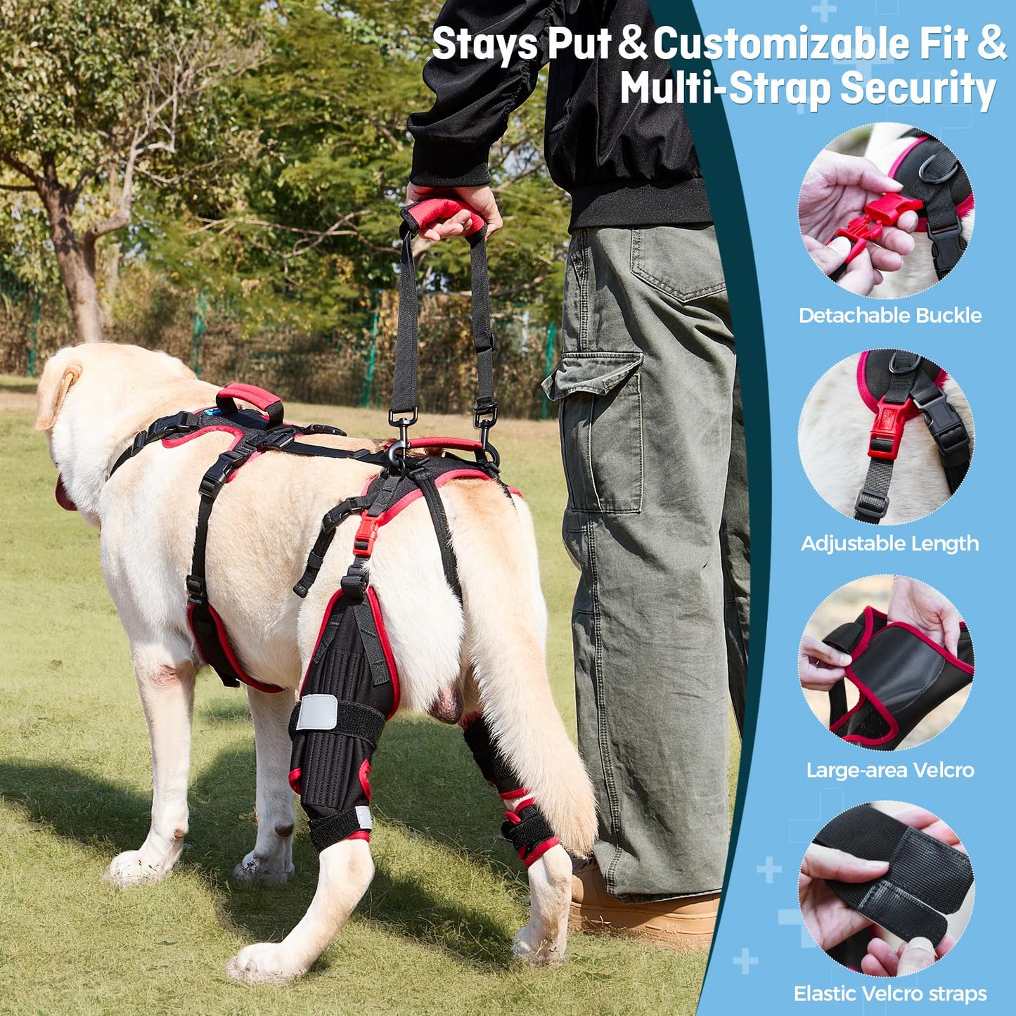 Lafoty Dog ACL CCL Knee Brace for Large Dogs, Set of 2 Hind Leg Braces with Handles & Shoulder Strap – Non-Slip Support for Injury, Arthritis & Post-Surgery Recovery, Black, Large