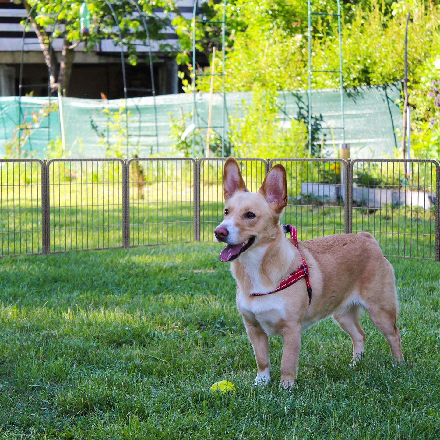 FXW Aster Dog Playpen Designed for Yard, 24inch 16 Panels