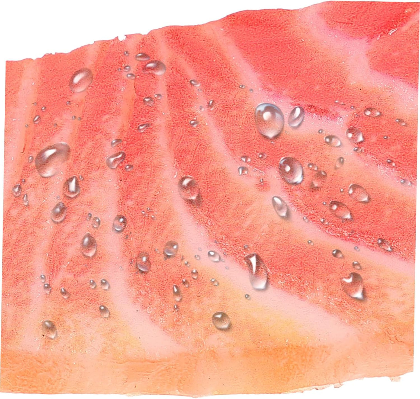 GARIOUANS Fake Salmon Model Realistic PVC Salmon Food Prop for Photography Restaurant Decor and Sushi Plate Display