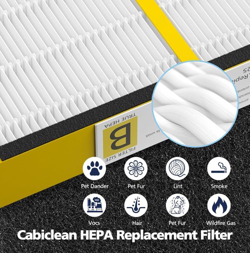 Guardian HEPA Filter B Replacement - Compatible with AC4825, AC4300, & More | 4 HEPA + 8 Carbon Filters