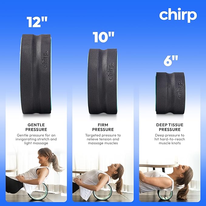 Chirp Wheel Foam Roller ??Targeted Back & Neck Relief, Lumbar Spine Stretcher, Spinal Decompression Back Stretcher, Massage Roller with Density Foam for Physical Therapy, Supports 500lbs, 12-Inch Mint