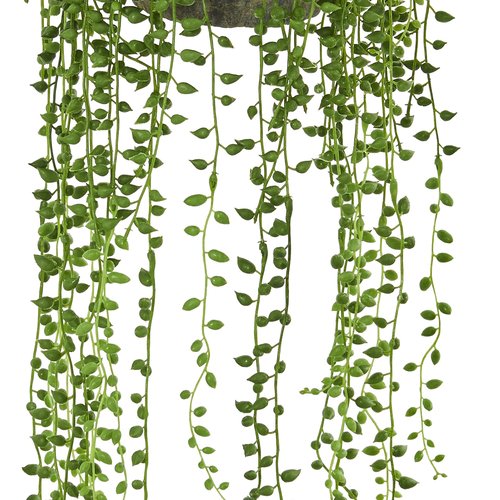 Nearly Natural String of Pearl Artificial Plant Hanging Basket