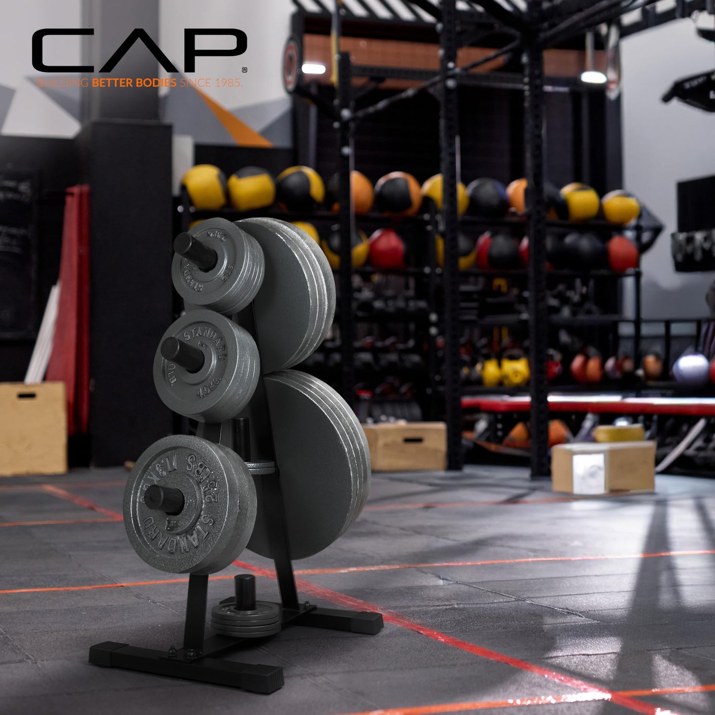 CAP Barbell Olympic 2-Inch Plate Rack