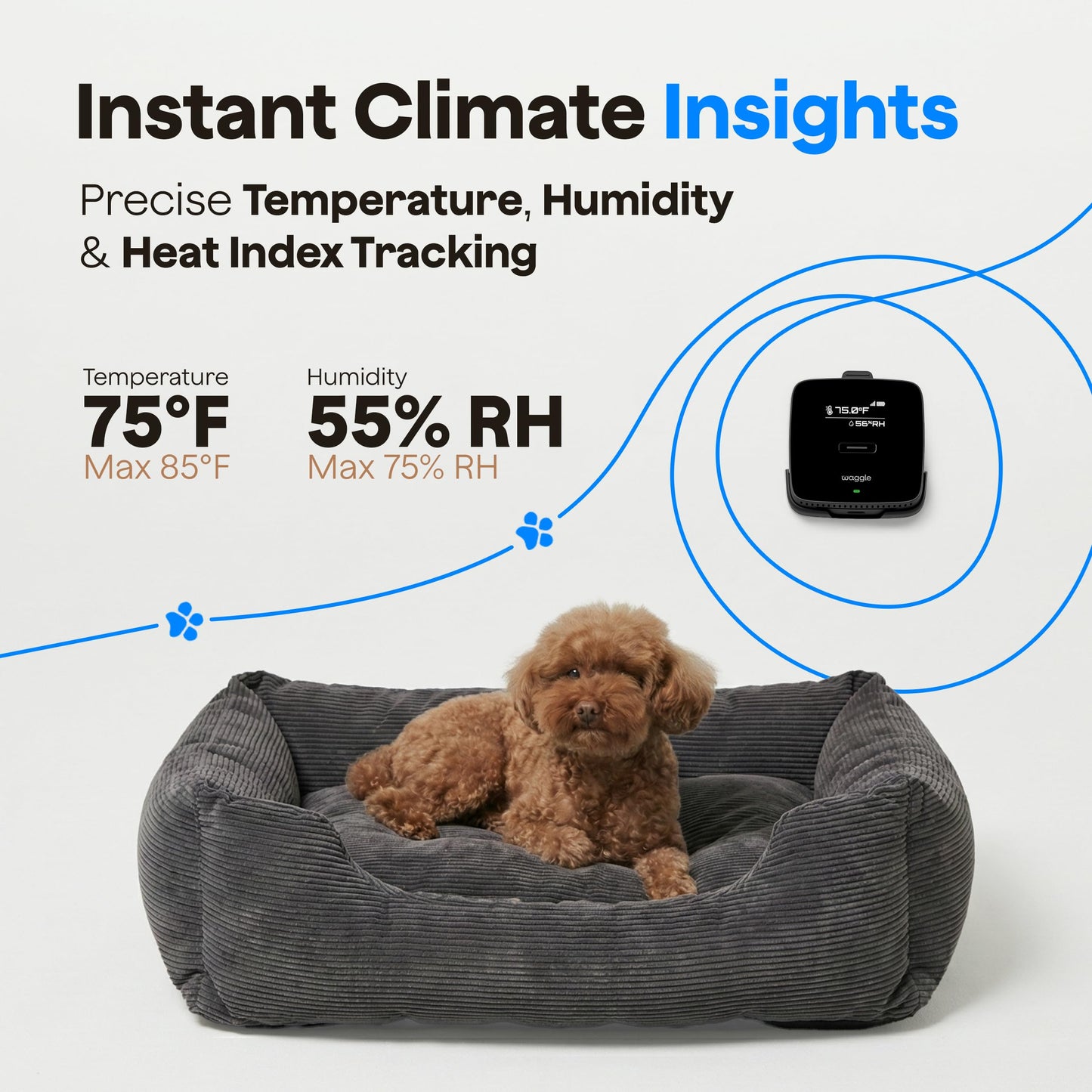 Waggle 4G Pet Temperature Monitor (Lite) - No WiFi Needed - Real Time App, SMS & Email Alerts - RV, Car & Home Safety Device - Power Outage Alerts - Subscription Required