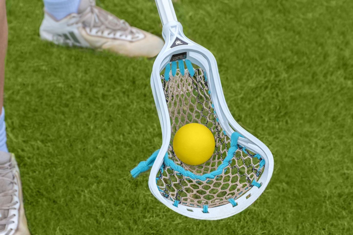 Velocity Soft Foam Practice Lacrosse Balls for Youth, Lacrosse Soft Training Balls for College and High School Beginners, Indoor Practice Soft Lacrosse Balls Official Size - Yellow, 6