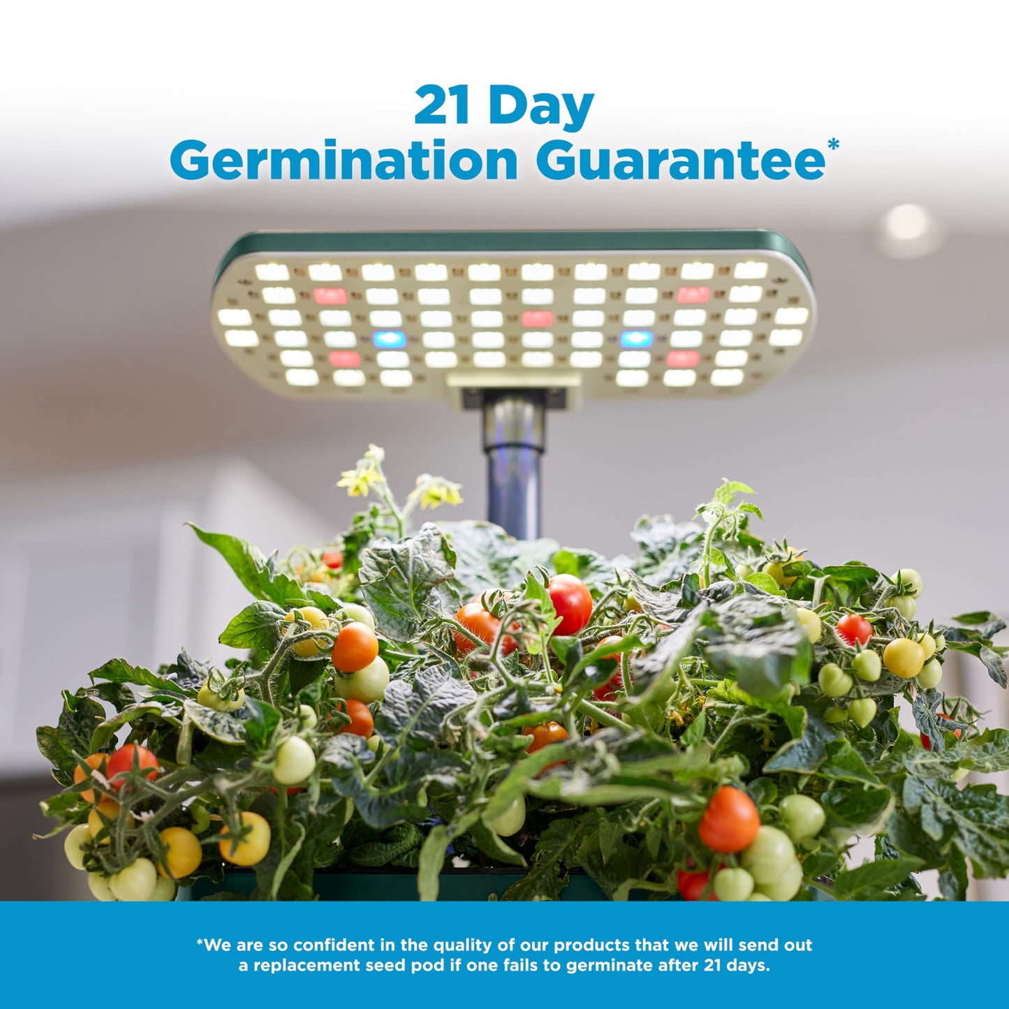 AeroGarden Harvest Lite in Green, Soil-Free Indoor Hydroponic Garden with LED Grow Light for Year-Round Gardening of up to 6 Herbs and Vegetables