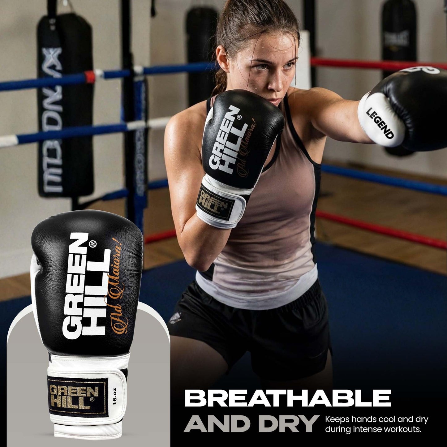Green Hill Legend Boxing Gloves – Professional Leather Training & Sparring Gloves for MMA, Muay Thai & Kickboxing –Wrist Support, Breathable Design - Black/White 16oz