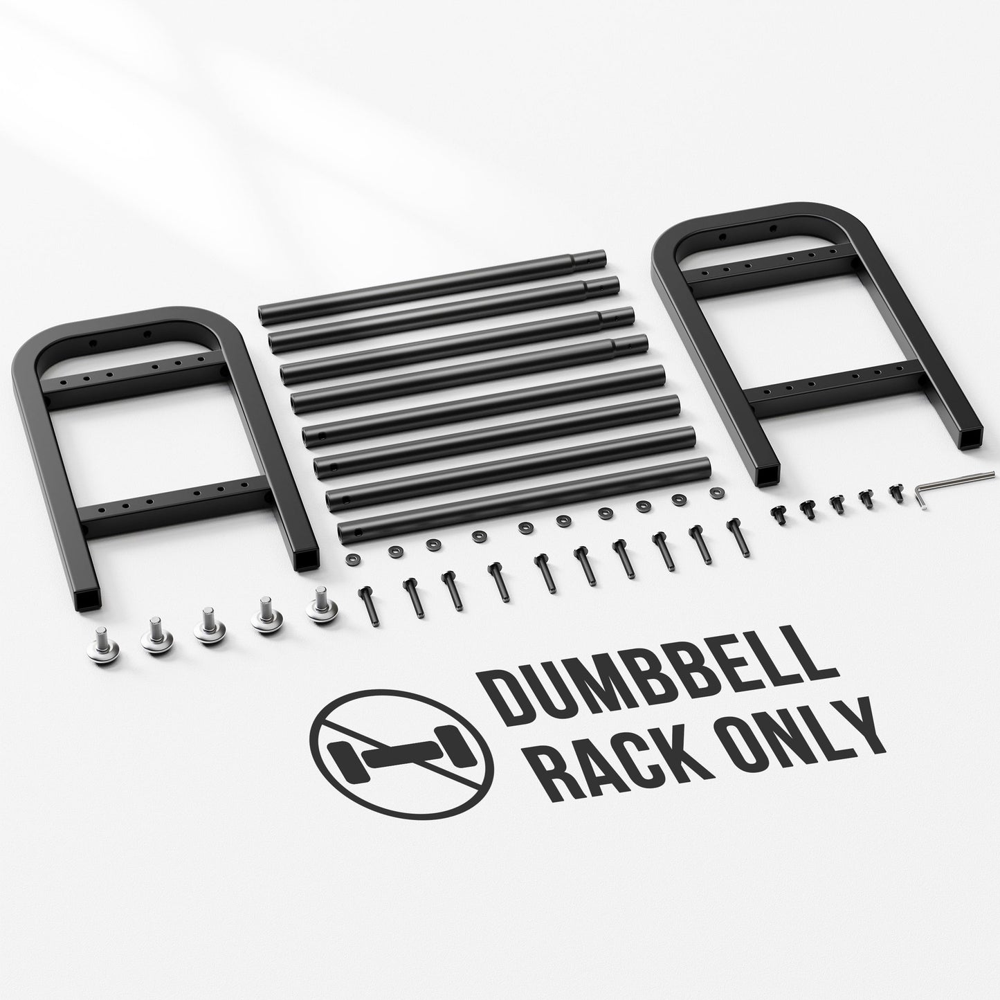 2 Tier Dumbbell Rack, Weight Rack for Home Gym, 300 lb Capacity
