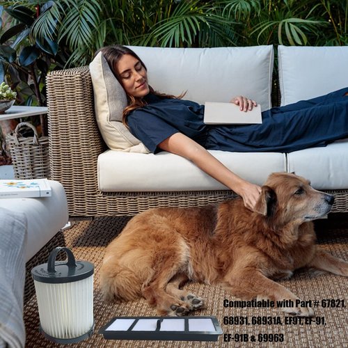 Lala Smill Replacement Upright Vacuum HEPA Filter EF-6 and DCF-21 EF91B Dust Cup Filter for Eureka Airspeed AS1000, AS1001, AS1004A, AS1002A, AS1050, AS1101A,AS1061A Series