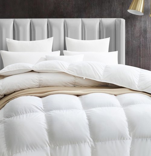 Maple&Stone Queen Size Feather Down Comforter - Ultra Soft 100% Cotton Cover | All Season Fluffy Duvet Insert 90 x 90 Inches