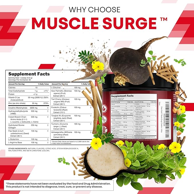 Clean Nutra Creatine Powder for Men + HMB BCAA L Arginine L Citrulline Tongkat Ali Saw Palmetto Ashwagandha Collagen Flax Seed Turmeric Preworkout Stevia Nitric Oxide L Glutamine Amino Acids