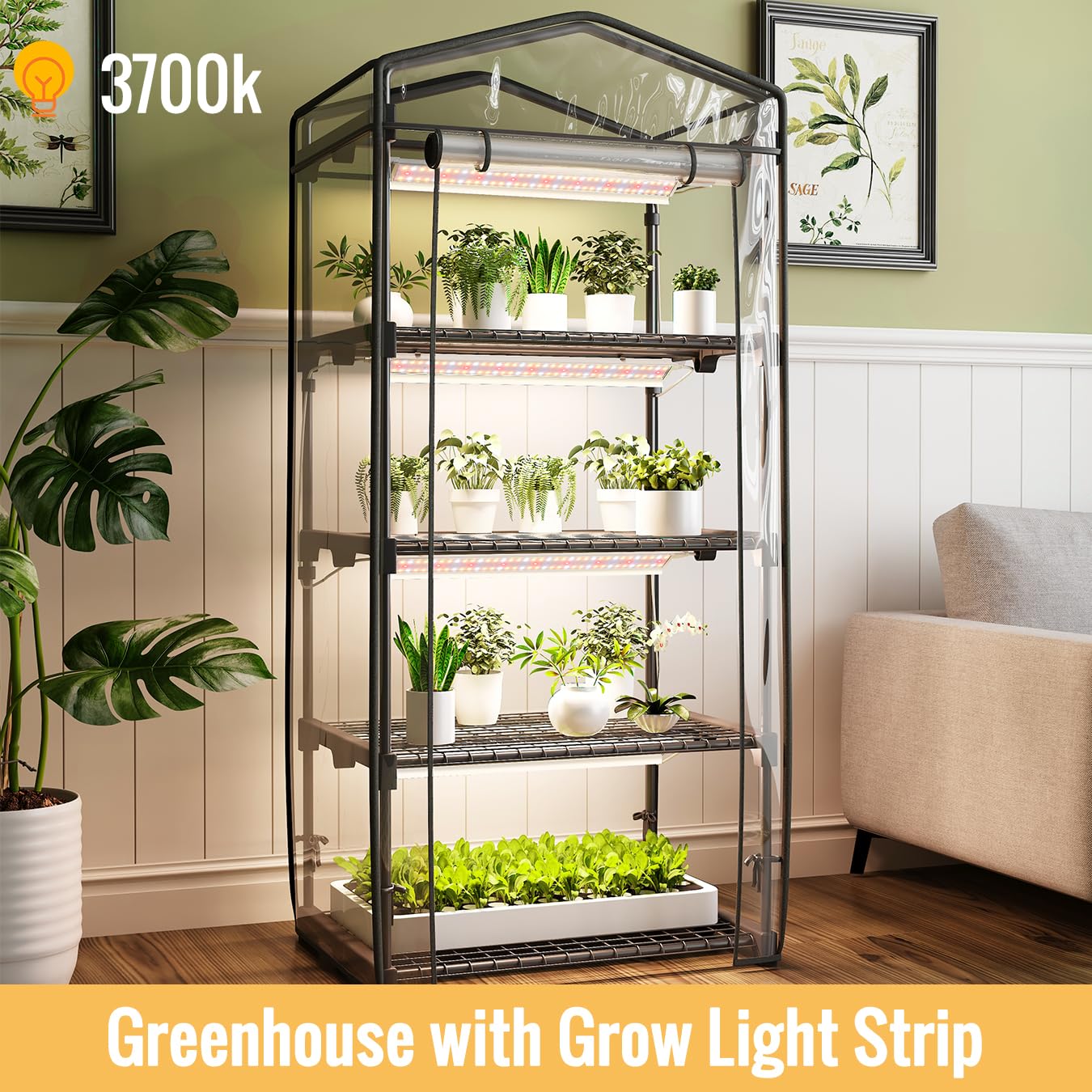 SpeePlant Indoor Greenhouse with Grow Light, 4 Tier, 1.6FT 80W Full Spectrum Grow Light with Timer, Portable Plant Shelves with Waterproof PVC Cover for Seed Starting, 26.4L X 19W X 61H