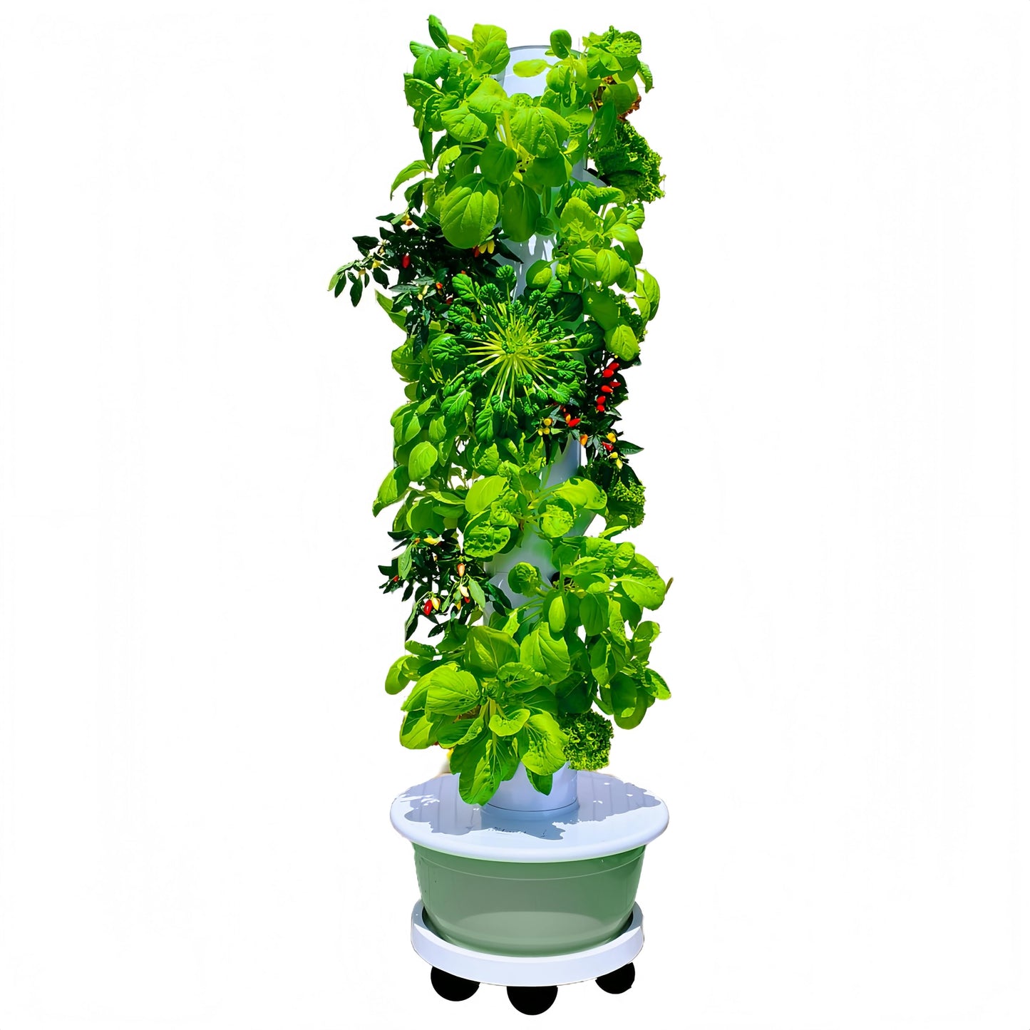 Vertical Hydroponic Growing System Kit, Indoor & Outdoor Hydroponic Tower, Herb Growing Garden with 36 Planting Sites, Automatic Timer Smart Hydroponic Gardening System